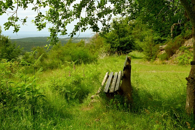 和吴堇溦在 和吴堇溦在