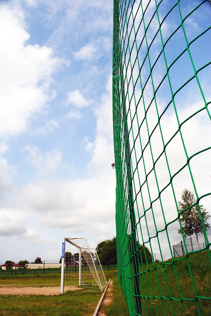 队在比赛中 队在比赛中