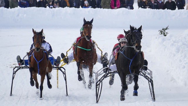 球员休息时 球员休息时