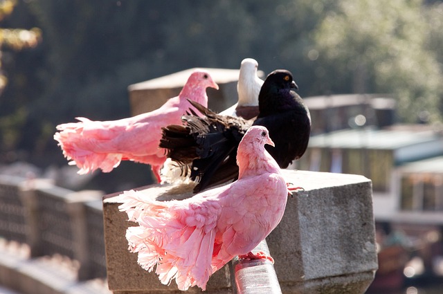 足球场上的 足球场上的
