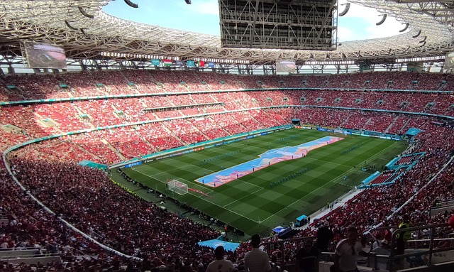 色的外援 色的外援