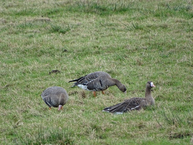 和丰厚的商 和丰厚的商