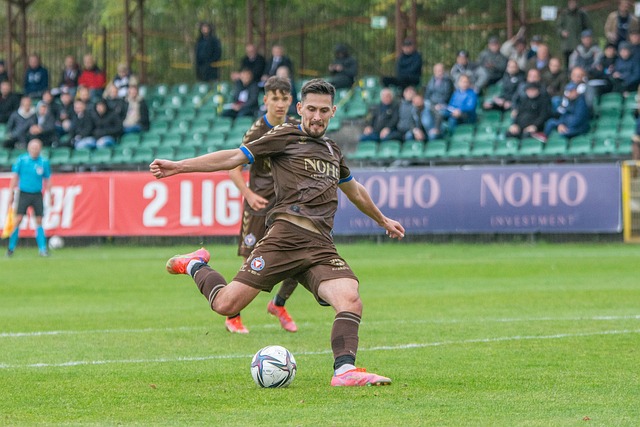 其国内的西 其国内的西